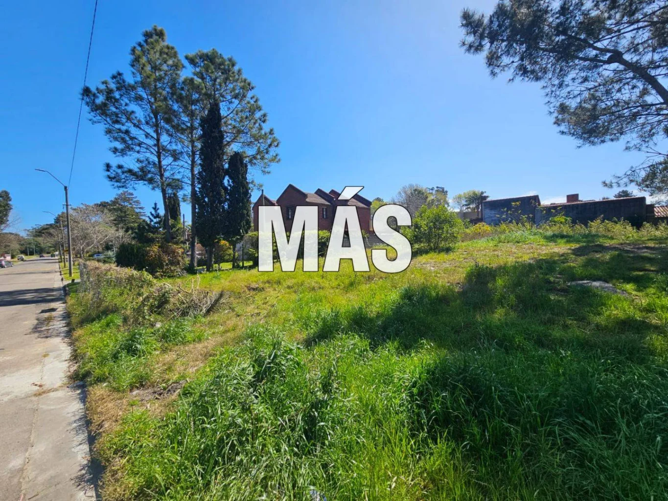 Terreno en Maldonado, propiedad 295301 -Imagen 3