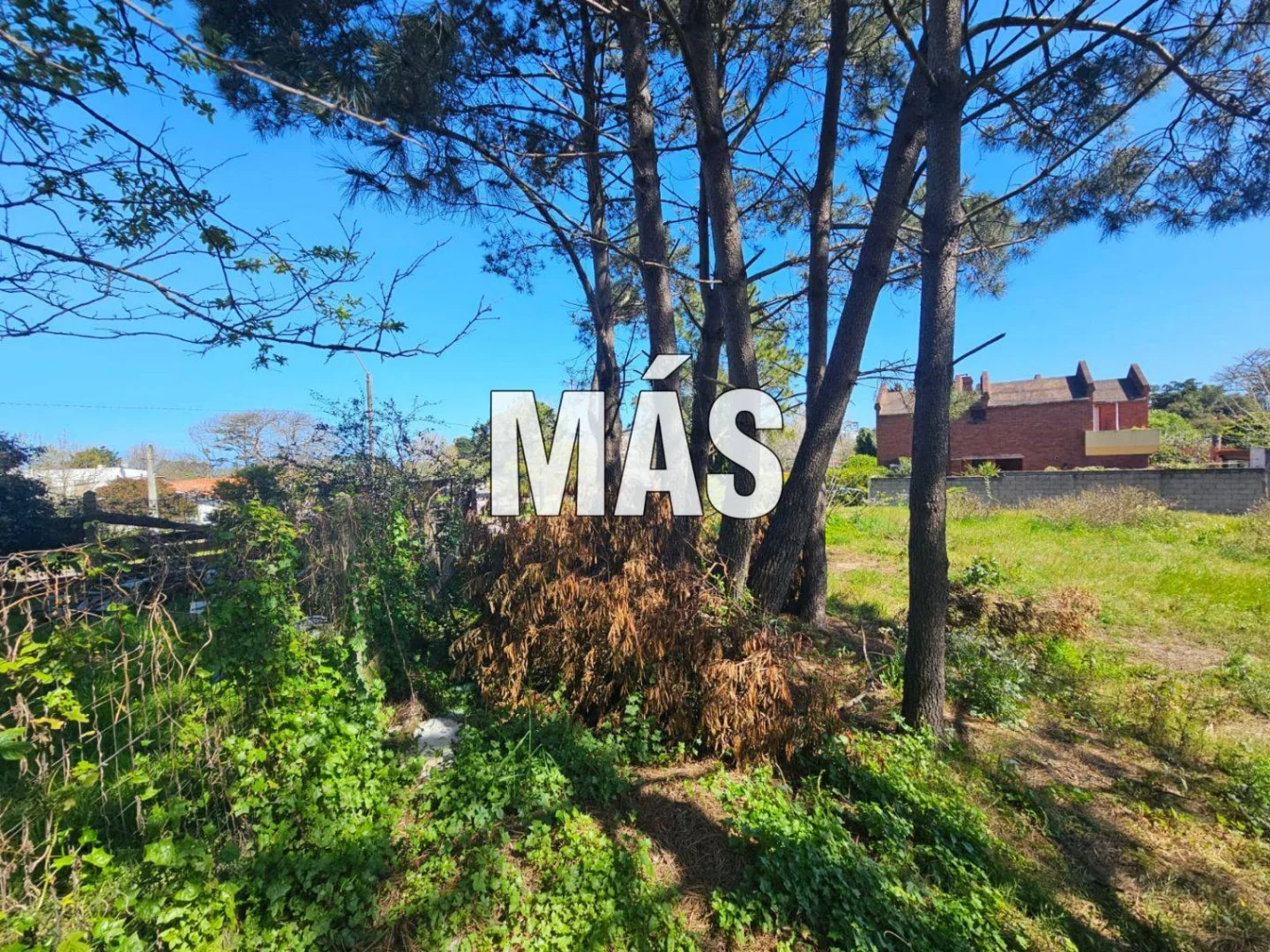 Terreno en Punta del Este, propiedad 295302 -Imagen 11