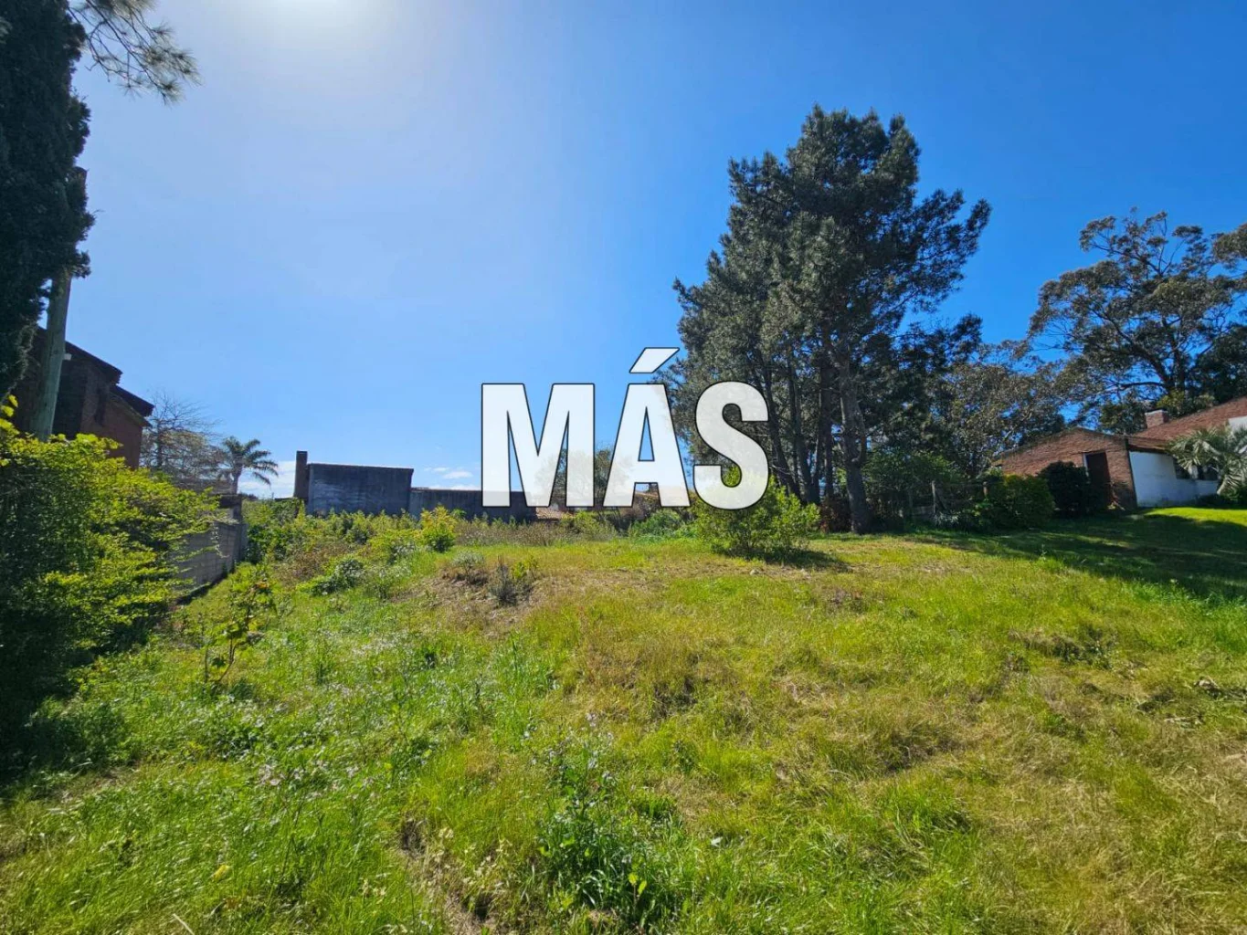Terreno en Punta del Este, propiedad 295302 -Imagen 12