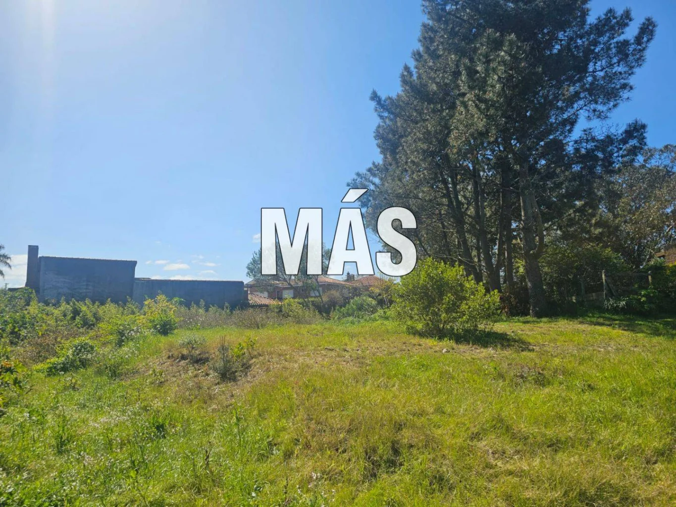 Terreno en Punta del Este, propiedad 295302 -Imagen 14