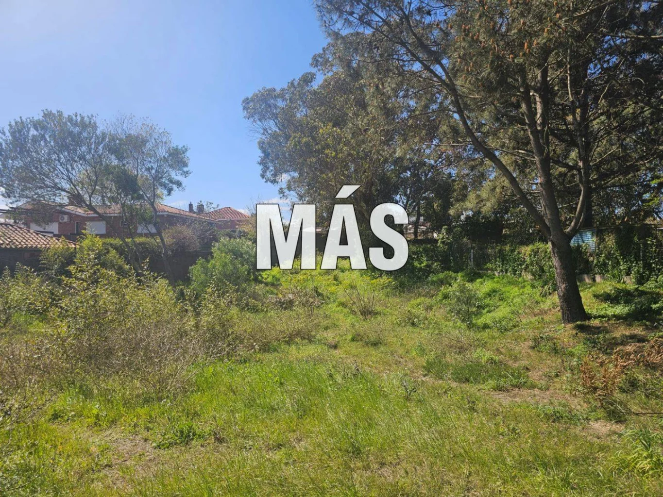 Terreno en Punta del Este, propiedad 295302 -Imagen 8