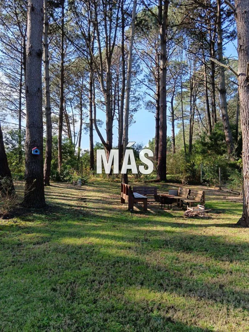 Casa en Punta Ballena, propiedad 298458 -Imagen 3