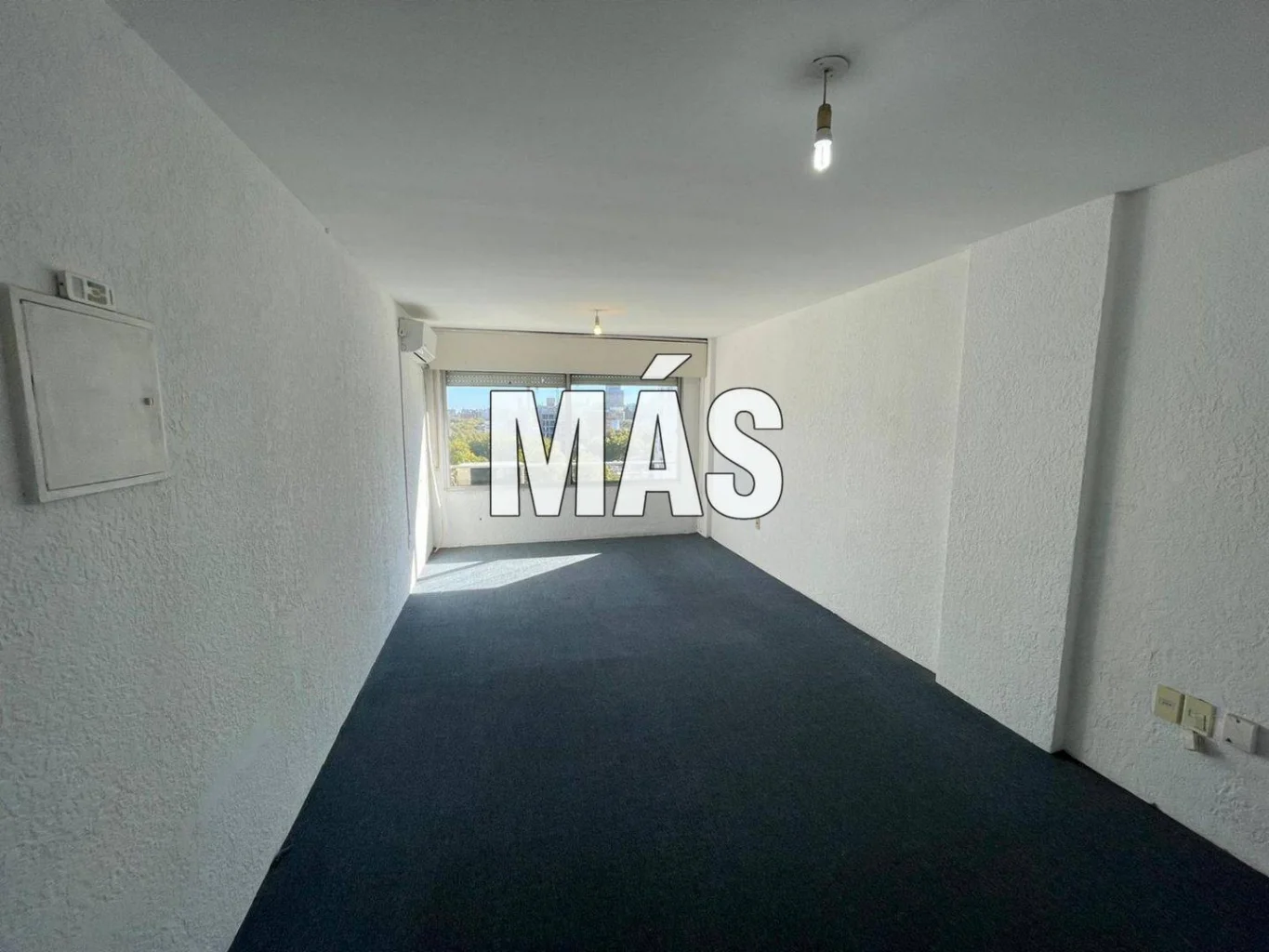 Apartamento en Parque Rodó, propiedad 302782 -Imagen 4