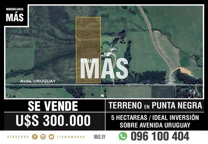imagen  de la propiedad 291359