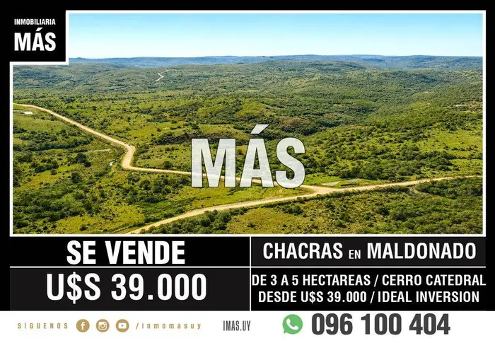 imagen  de la propiedad 291365