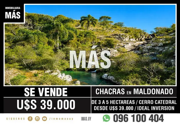imagen  de la propiedad 291366