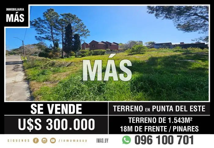 imagen  de la propiedad 295300