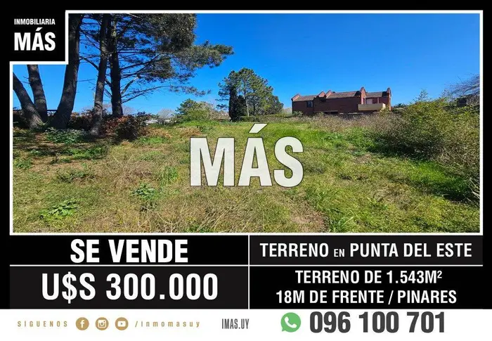 imagen  de la propiedad 295301