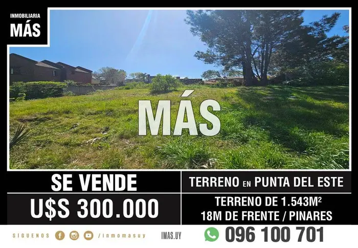 imagen  de la propiedad 295302