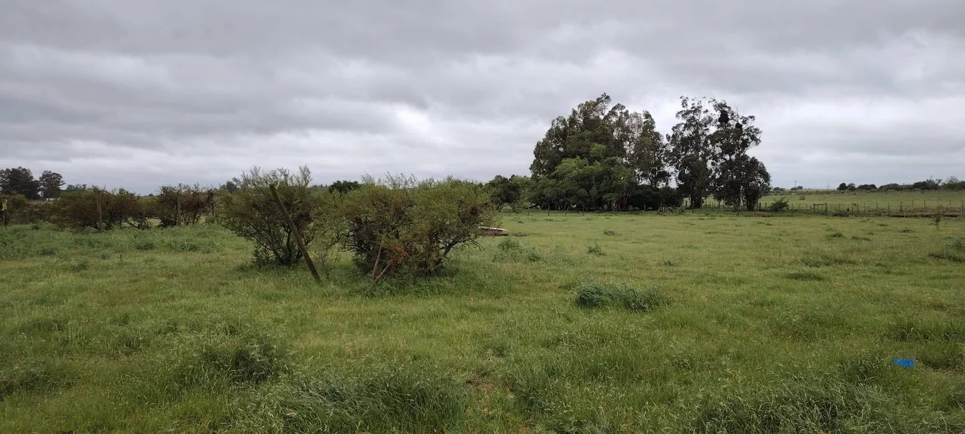 Chacra en Los Cerrillos, propiedad 270659 -Imagen 7