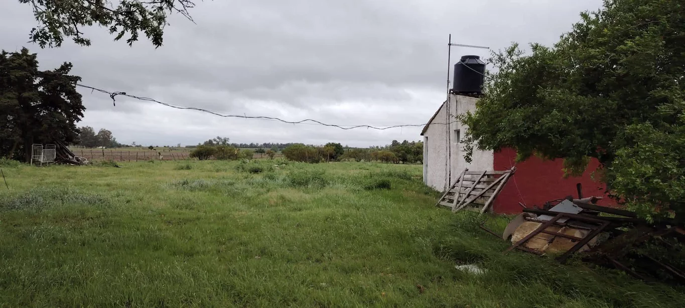 Chacra en Los Cerrillos, propiedad 270659 -Imagen 13