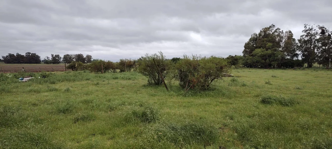 Chacra en Los Cerrillos, propiedad 270659 -Imagen 8