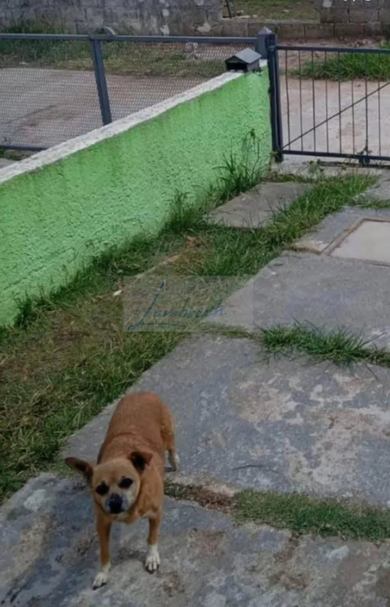 Casa en Sauce, propiedad 274203 -Imagen 7