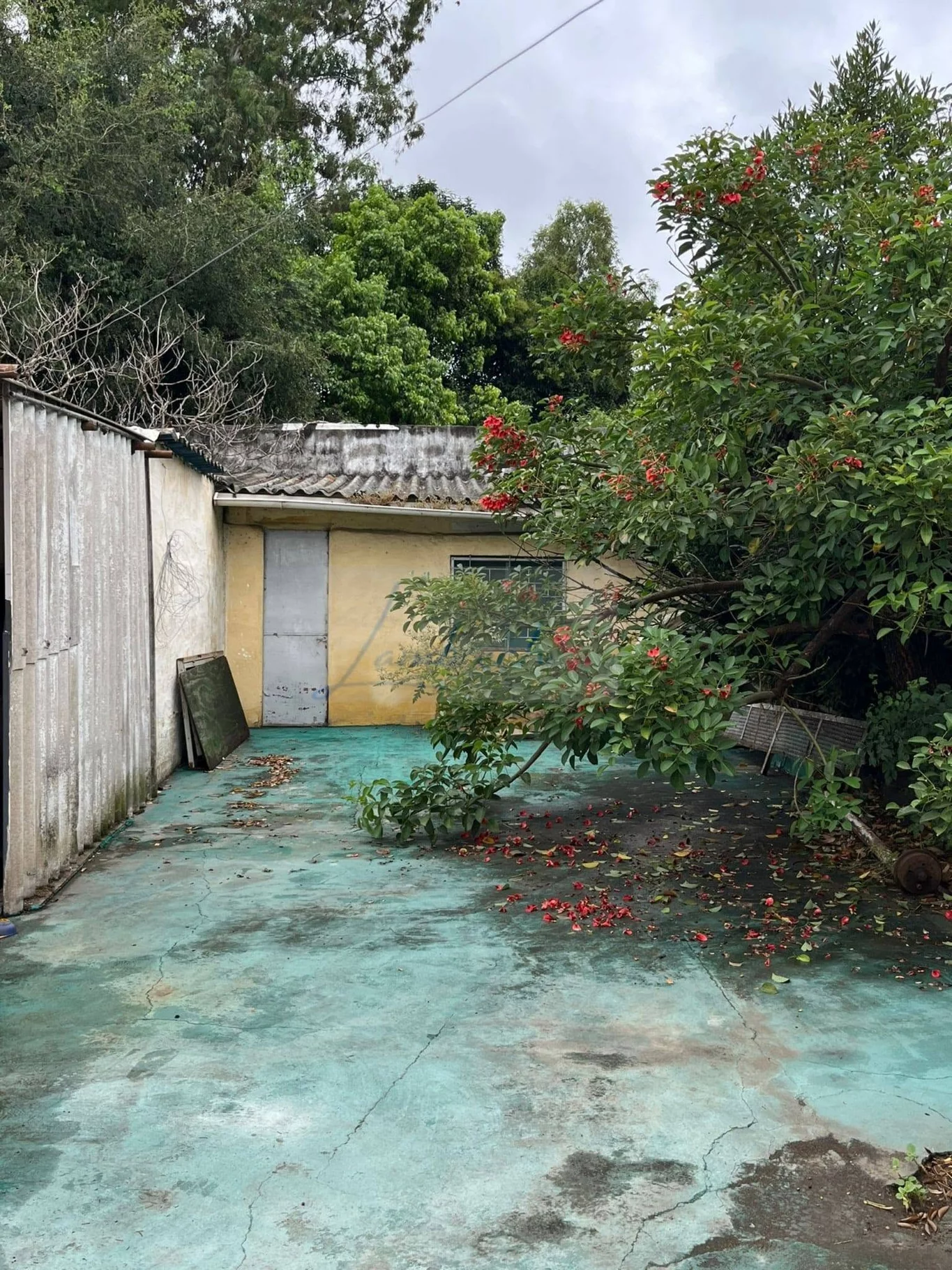Casa en La Paz, propiedad 274347 -Imagen 14