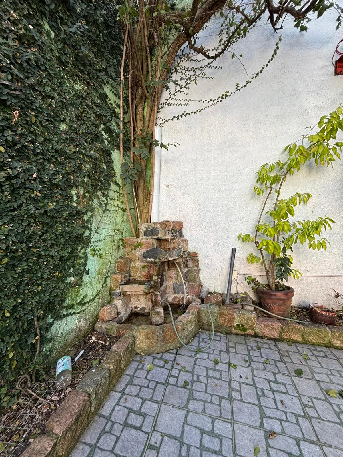 Casa en Prado, propiedad 292430 -Imagen 44