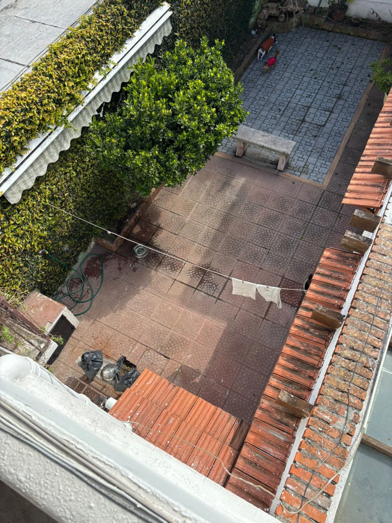 Casa en Prado, propiedad 292430 -Imagen 35