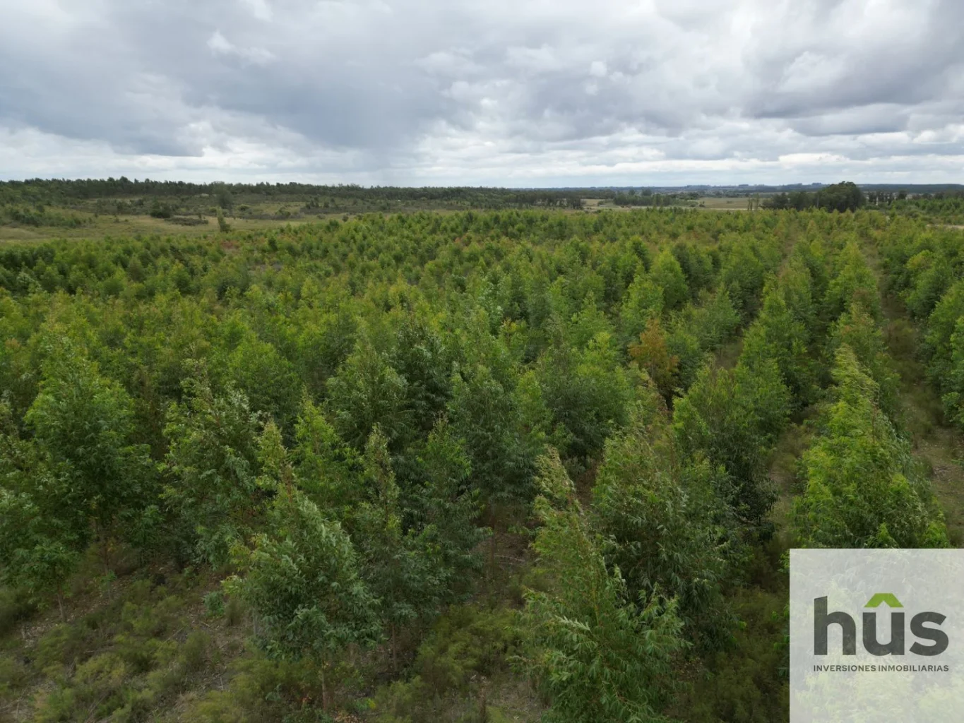 Campo en Migues, propiedad 288495 -Imagen 2