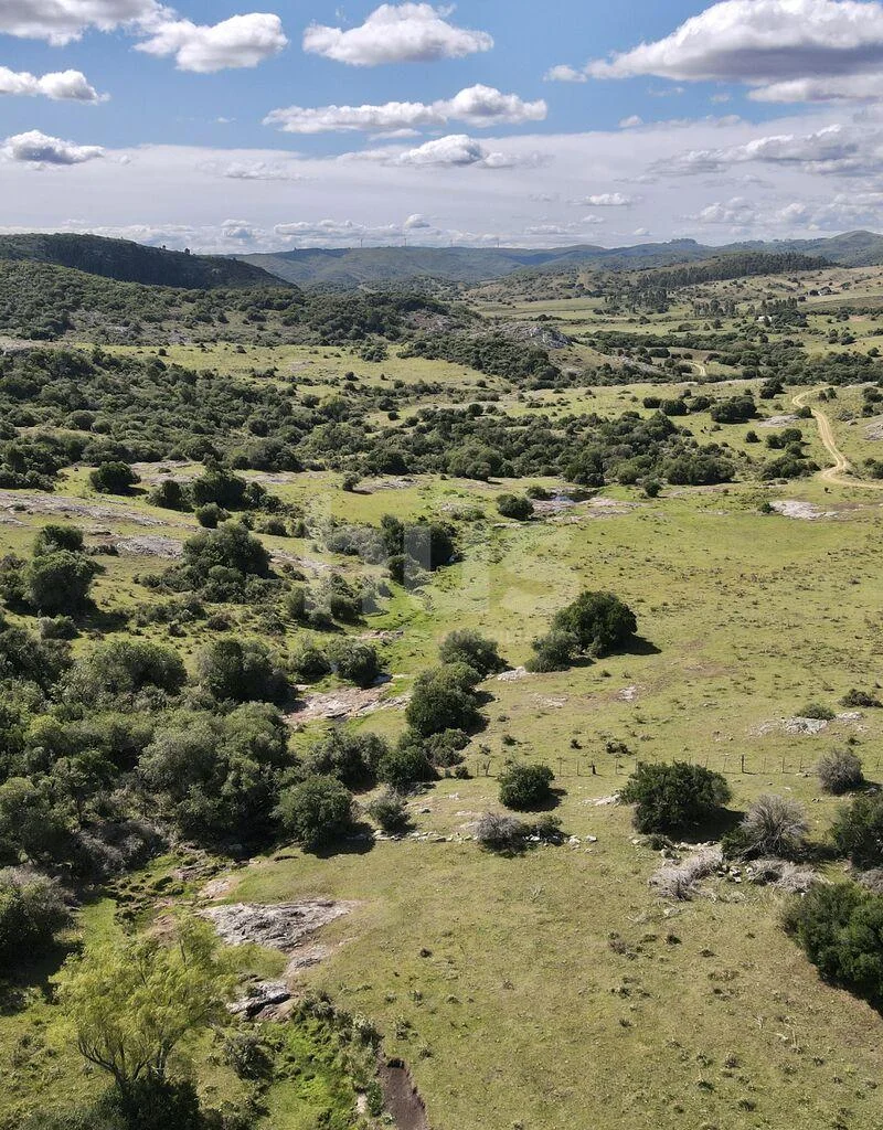 Campo en Solis de Mataojo, propiedad 288514 -Imagen 11