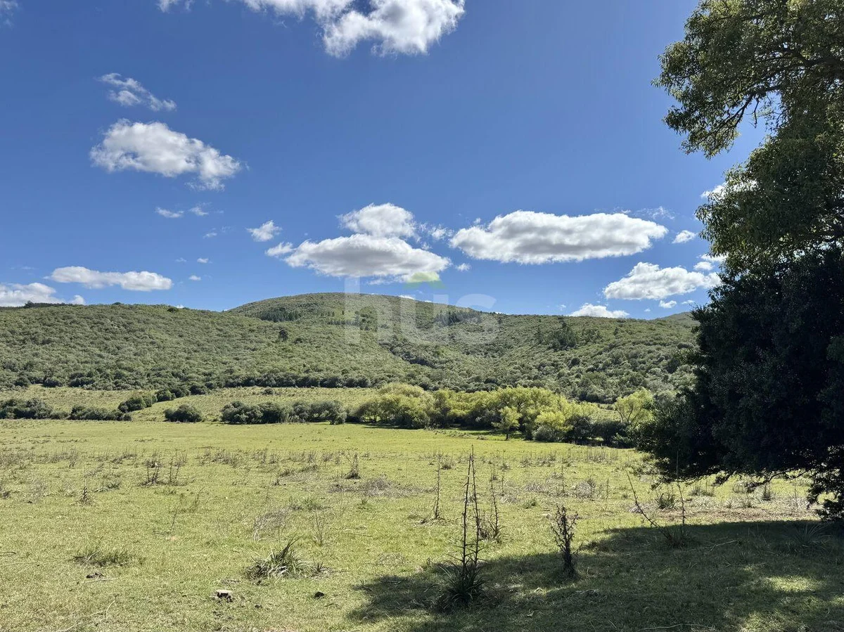 Campo en Solis de Mataojo, propiedad 288514 -Imagen 5
