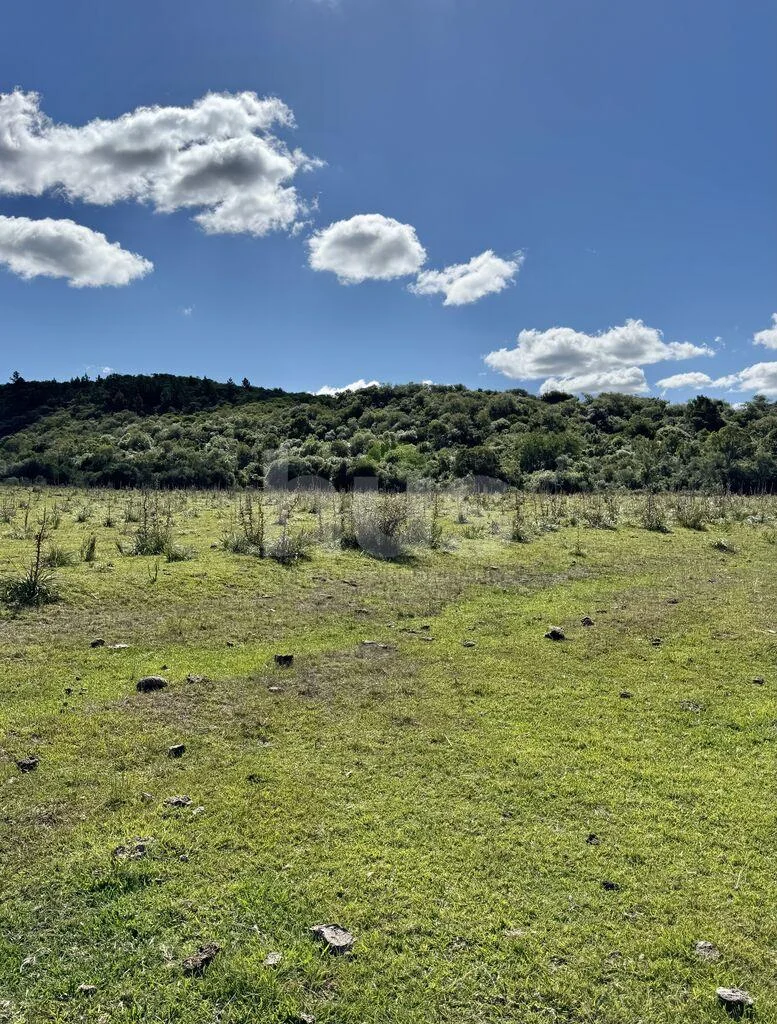 Campo en Solis de Mataojo, propiedad 288514 -Imagen 6