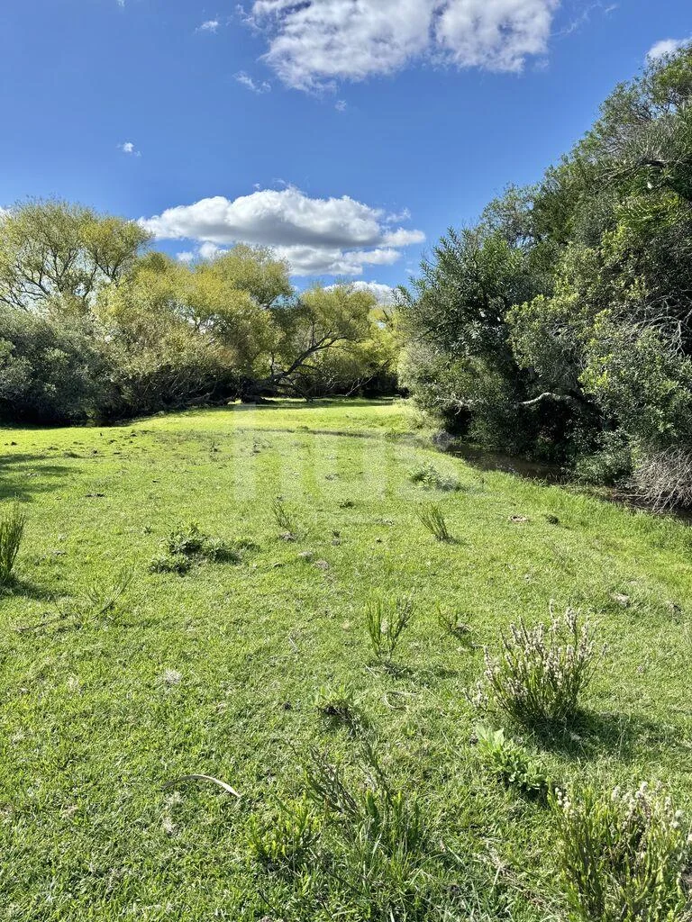 Campo en Solis de Mataojo, propiedad 288514 -Imagen 7