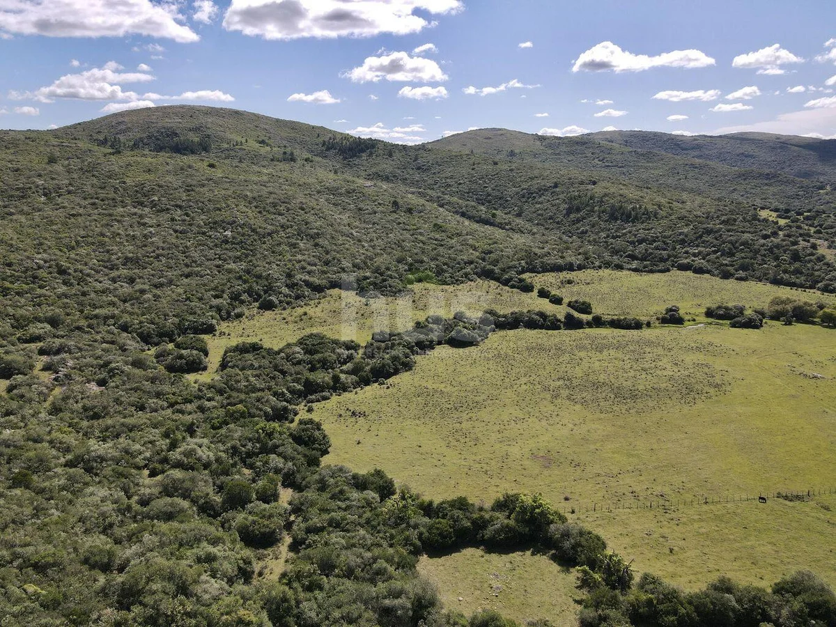 Campo en Solis de Mataojo, propiedad 288514 -Imagen 8