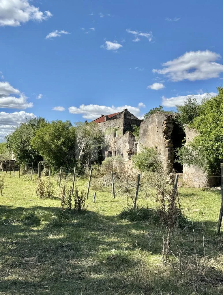 Campo en Solis de Mataojo, propiedad 288514 -Imagen 9
