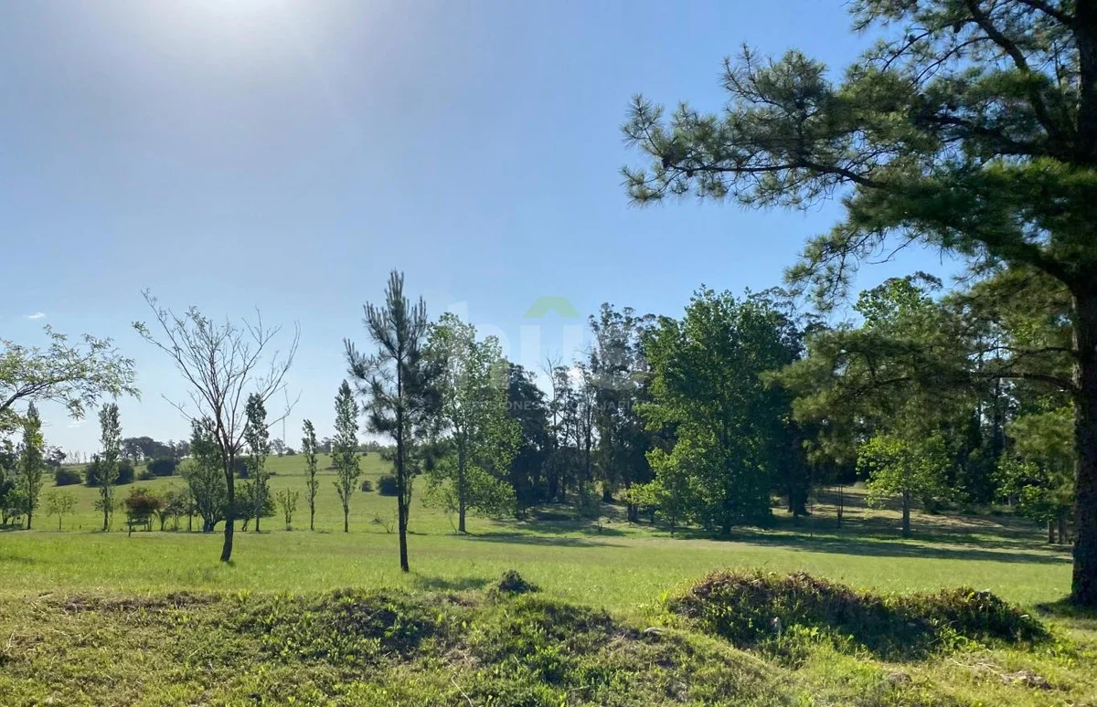 Terreno en Altos de la Tahona, propiedad 288517 -Imagen 1