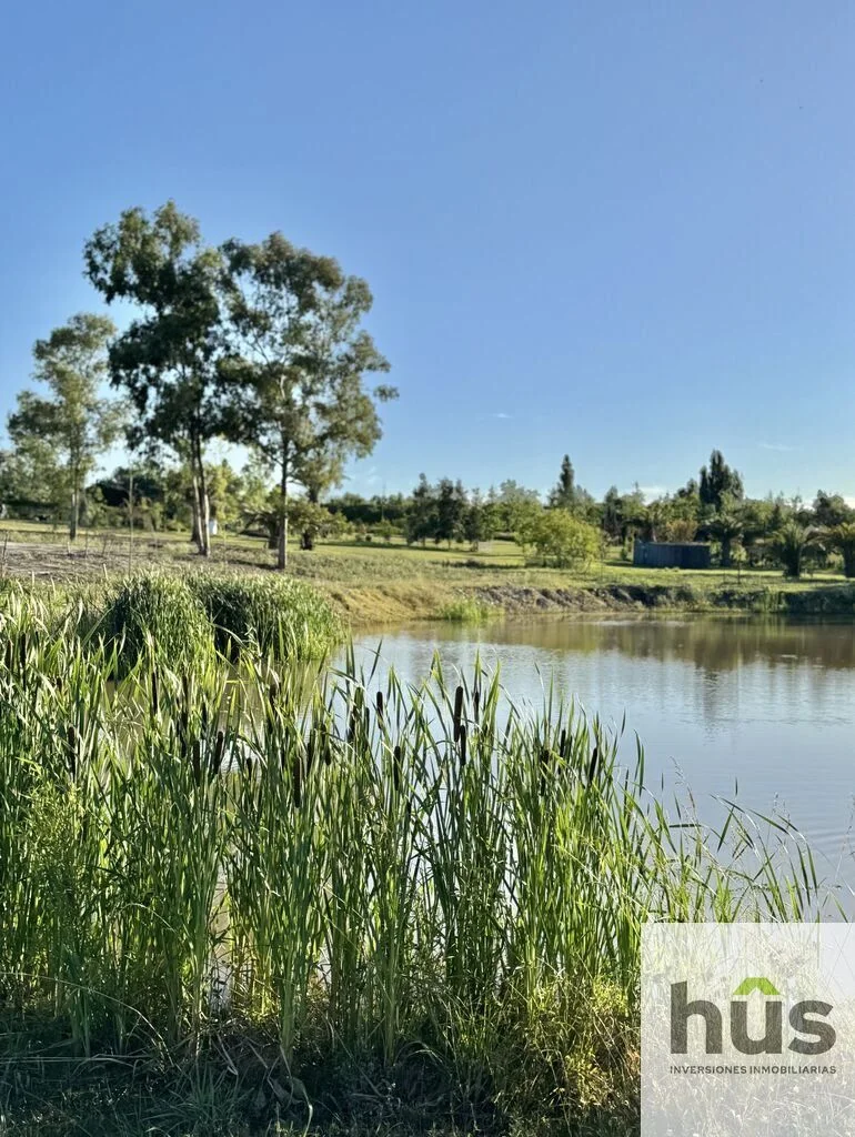 Terreno en Altos de la Tahona, propiedad 288517 -Imagen 8