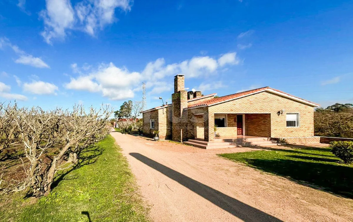 Campo en Cerrillos, propiedad 288548 -Imagen 1