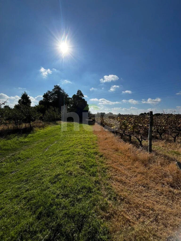 Campo en Cerrillos, propiedad 288548 -Imagen 11