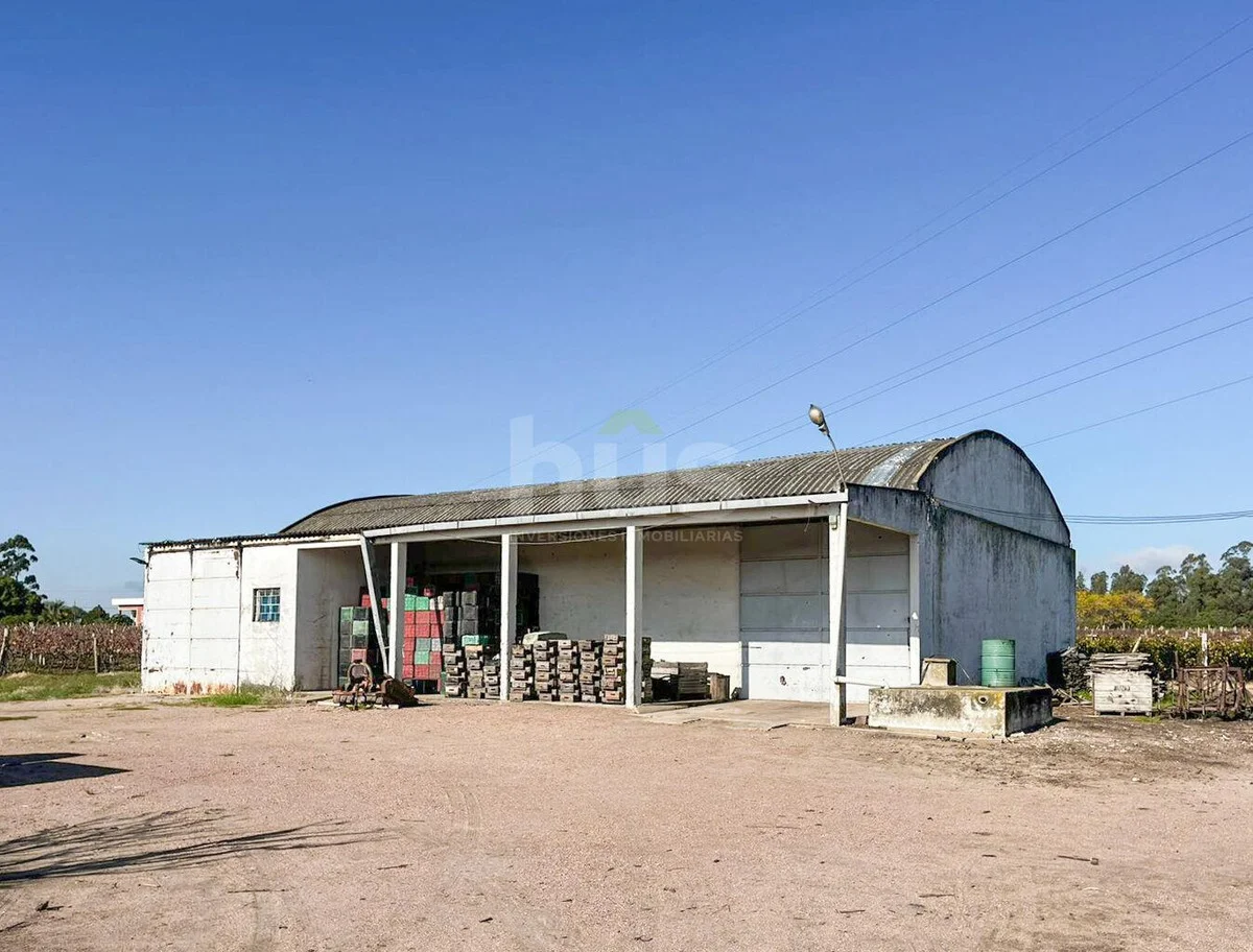 Campo en Cerrillos, propiedad 288548 -Imagen 9