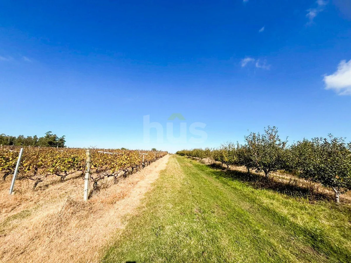 Campo en Cerrillos, propiedad 288548 -Imagen 10