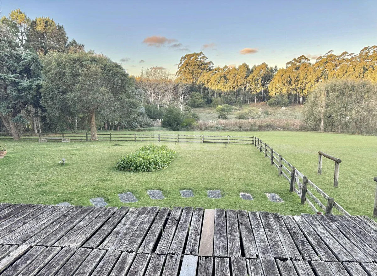 Campo en Buenos Aires, propiedad 290965 -Imagen 6