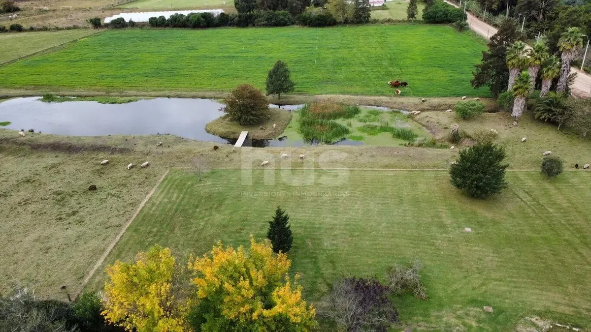 Campo en Barros Blancos, propiedad 296829 -Imagen 13