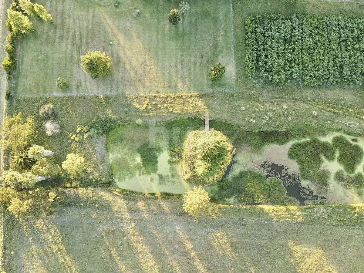 Campo en Barros Blancos, propiedad 296829 -Imagen 14
