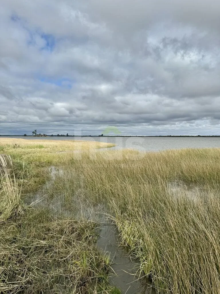 Campo en Las Brujas, propiedad 296830 -Imagen 1