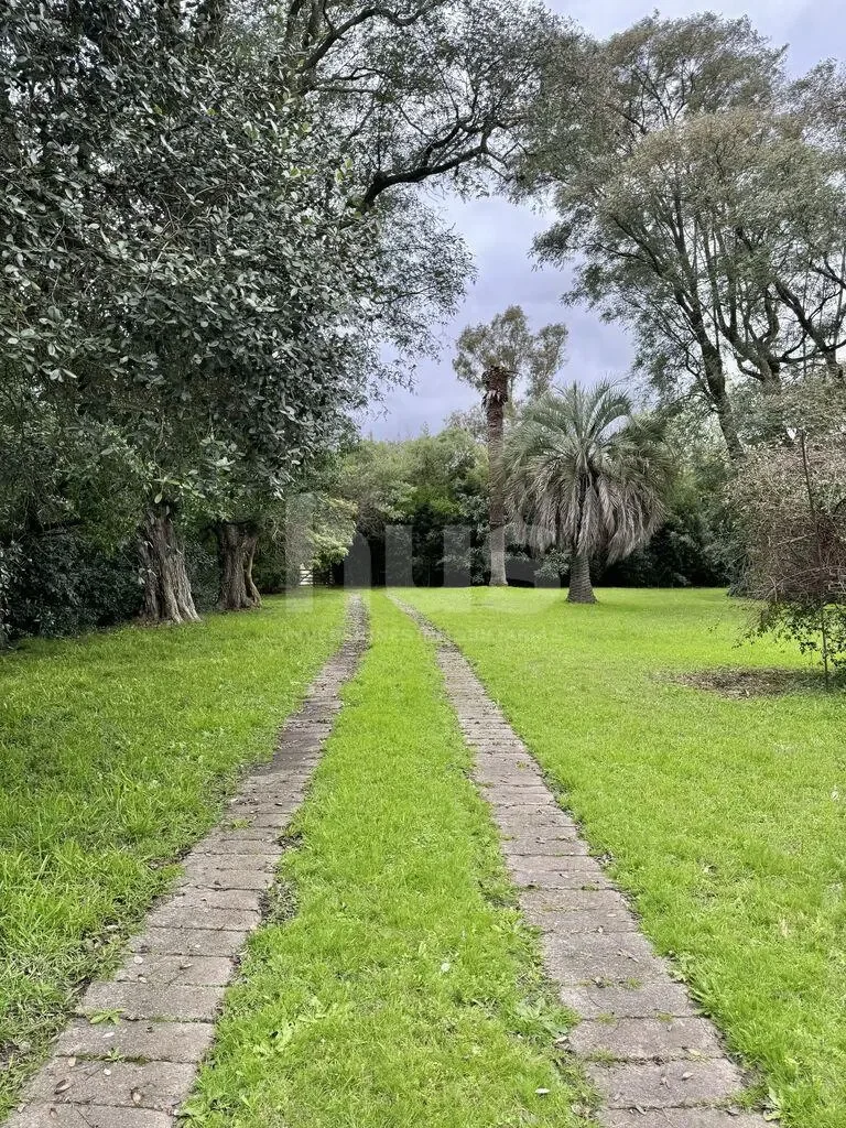 Campo en Las Brujas, propiedad 296830 -Imagen 2