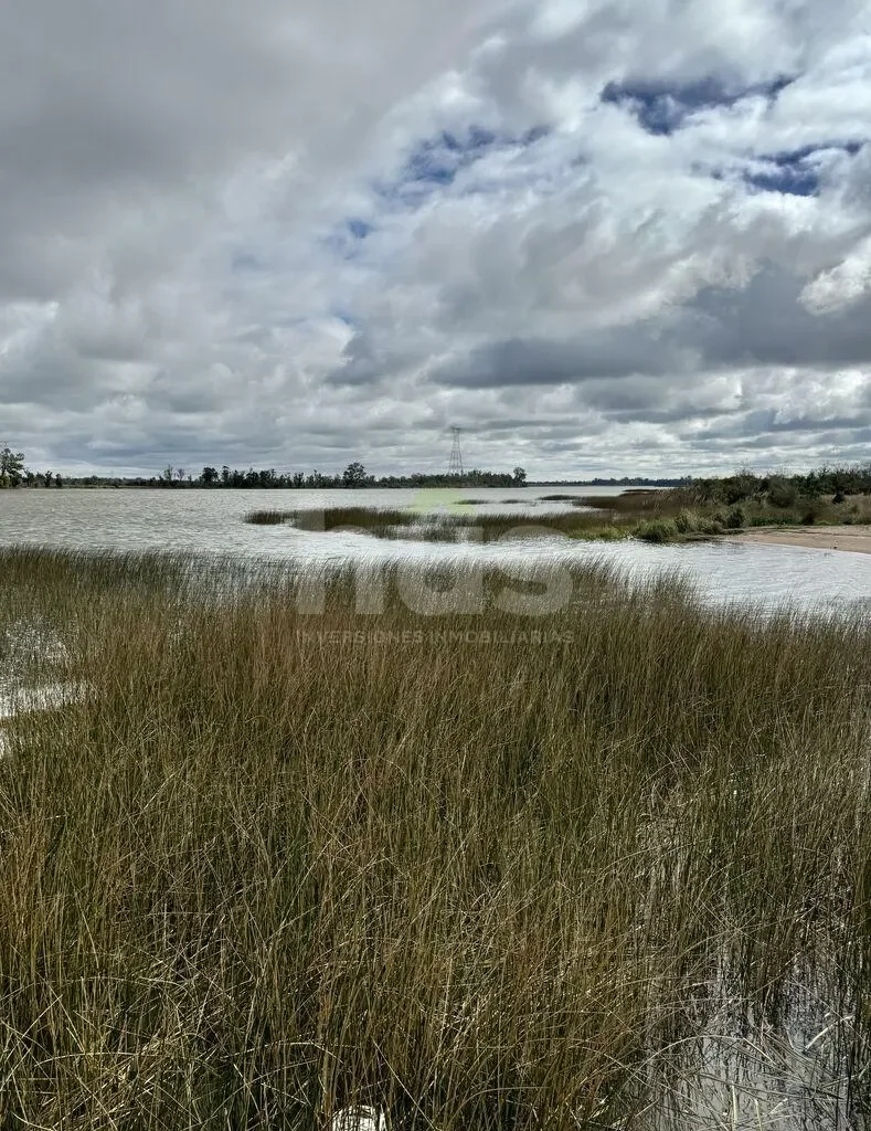 Campo en Las Brujas, propiedad 296830 -Imagen 12