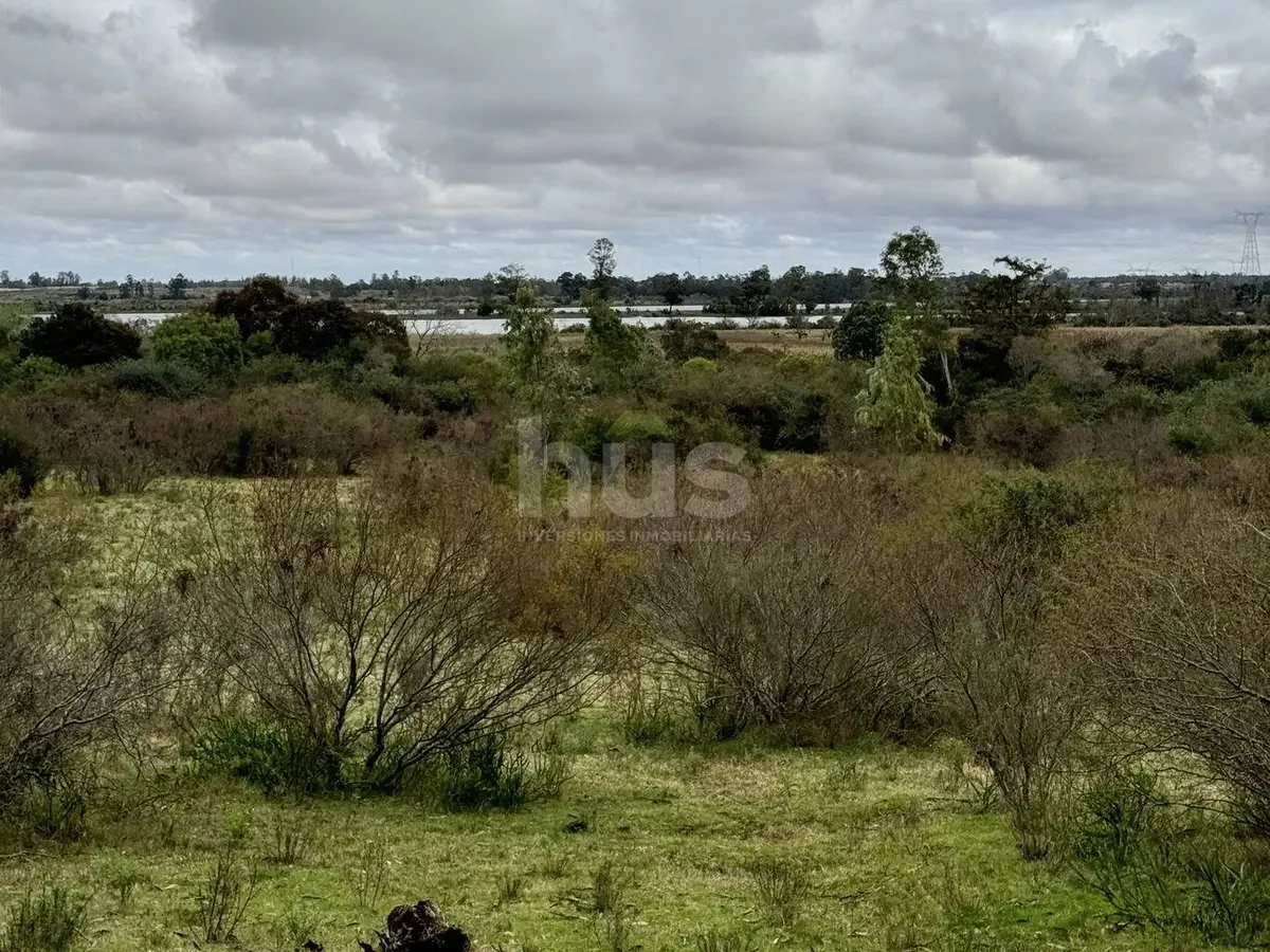 Campo en Las Brujas, propiedad 296830 -Imagen 13