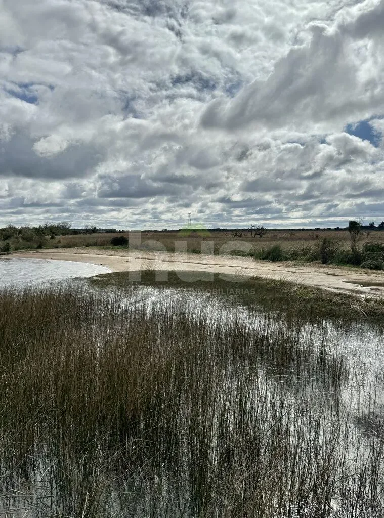 Campo en Las Brujas, propiedad 296830 -Imagen 14