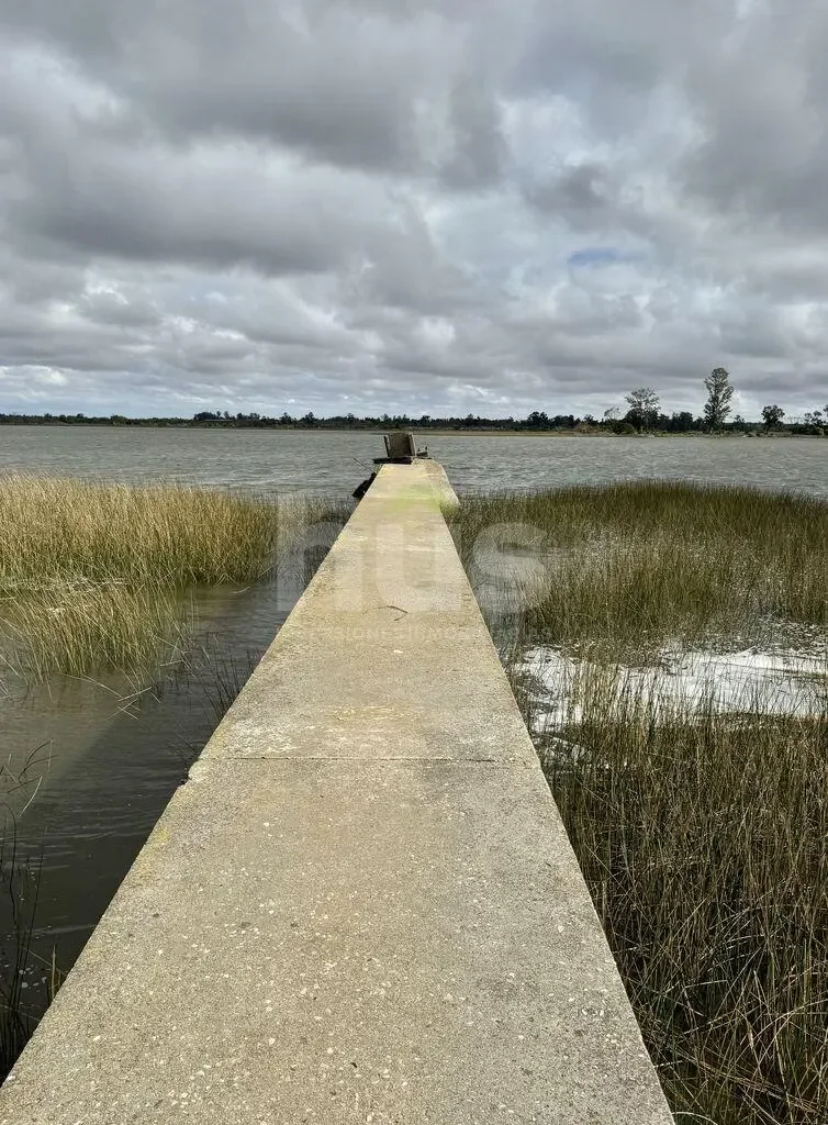 Campo en Las Brujas, propiedad 296830 -Imagen 16