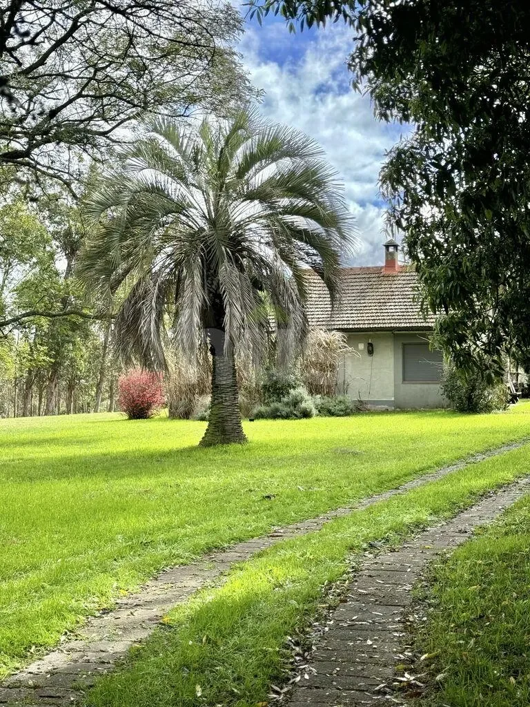 Campo en Las Brujas, propiedad 296830 -Imagen 3