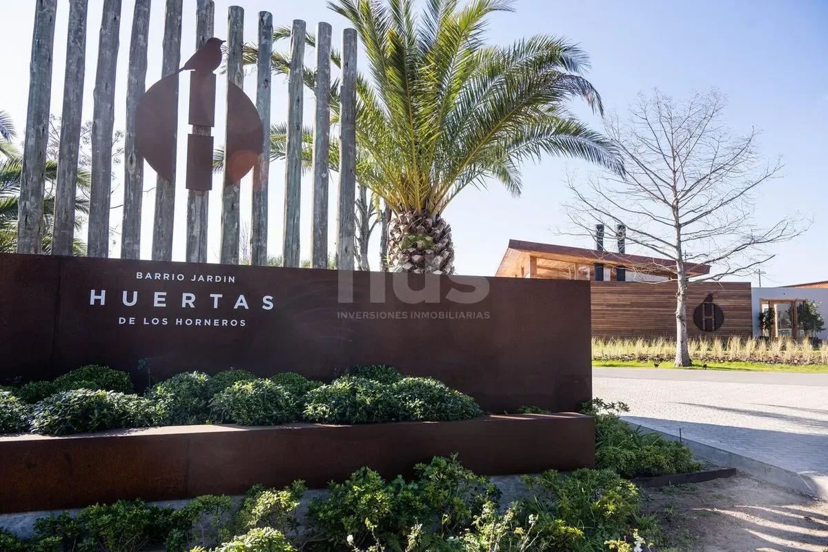 Local en Altos de la Tahona, propiedad 296848 -Imagen 7