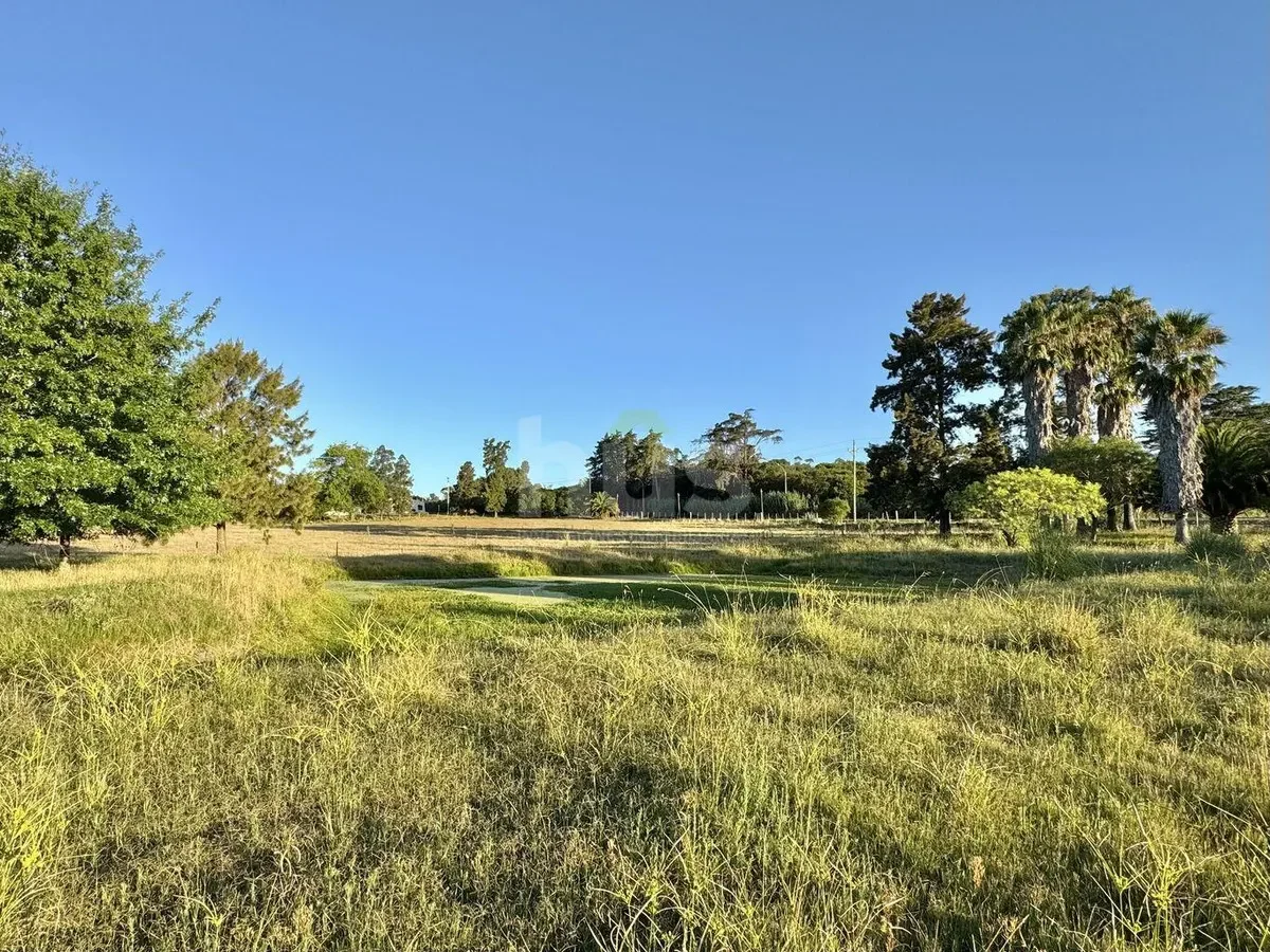 Campo en Barros Blancos, propiedad 296872 -Imagen 1