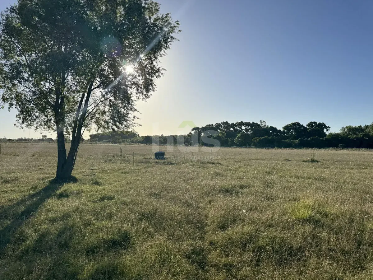 Campo en Barros Blancos, propiedad 296872 -Imagen 2