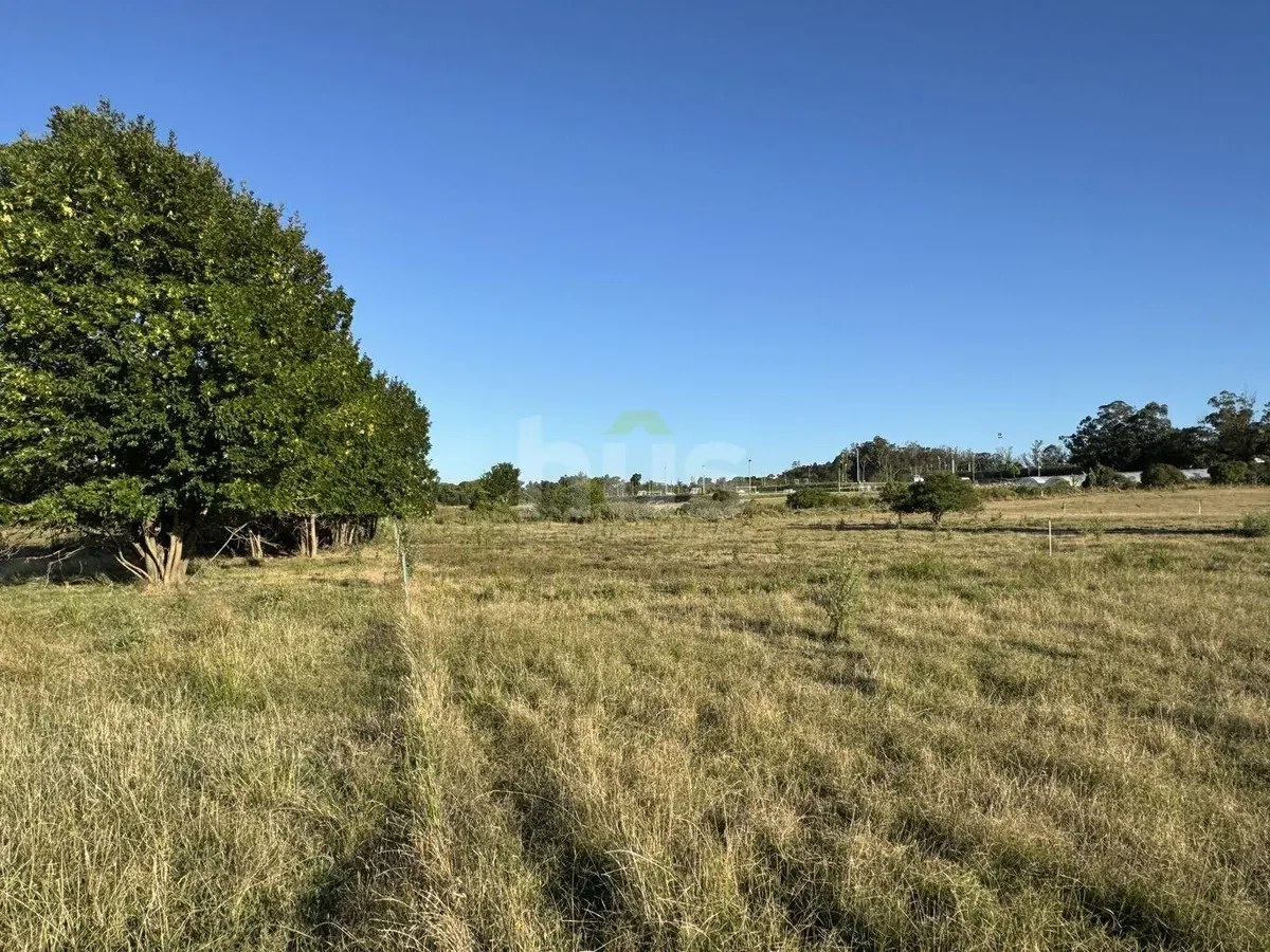 Campo en Barros Blancos, propiedad 296872 -Imagen 11
