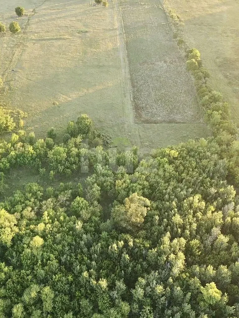 Campo en Barros Blancos, propiedad 296872 -Imagen 15