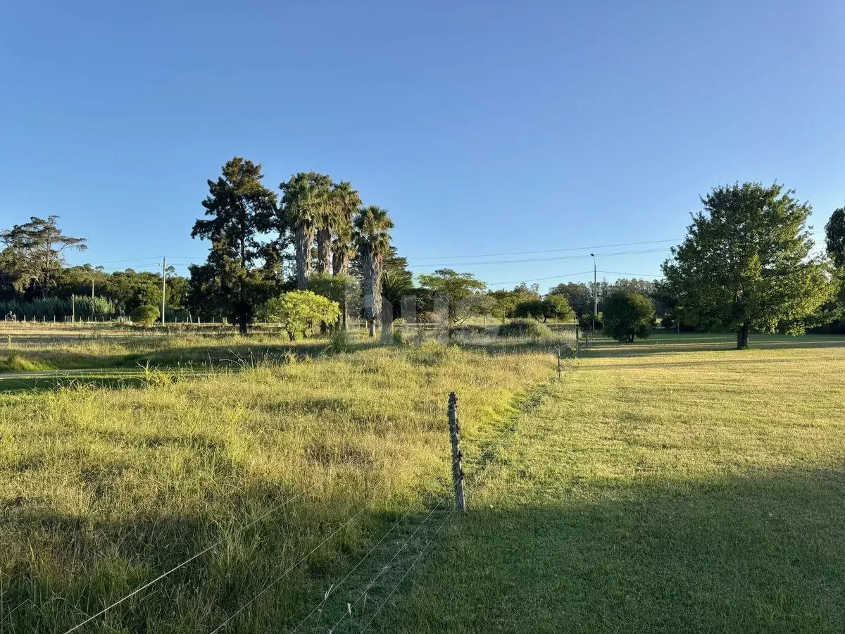 Campo en Barros Blancos, propiedad 296872 -Imagen 3