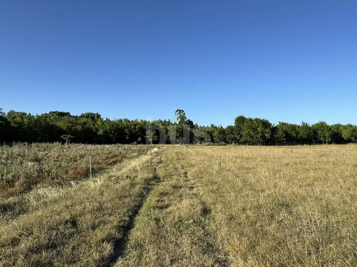 Campo en Barros Blancos, propiedad 296872 -Imagen 10